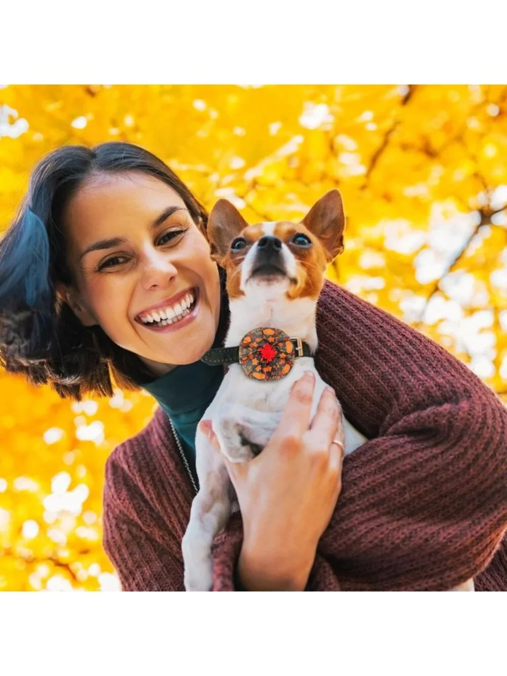 200 Pcs Fall Dog Collar Flower Charms & Bow Ties - Thanksgiving Pet Accessories